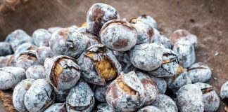 Magusto do Troino anima Largo da Fonte Nova esta tarde