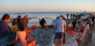 ADREPES lança bolsa de intenção de candidaturas ao MAR 2030