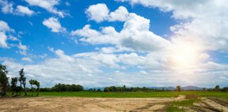 Aumento de 900% do IMI em Setúbal ameaça afugentar proprietários de terrenos