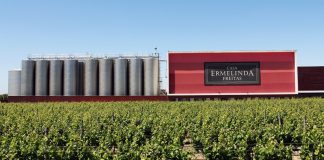 Chuva de medalhas para os vinhos da Casa Ermelinda Freitas