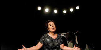 Joana Reais e peça “A Judia” marcam arranque da Festa do Teatro em Setúbal