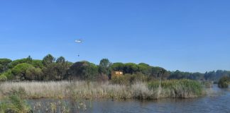 Bombeiros conseguiram salvar Espaço Interpretativo da Lagoa Pequena