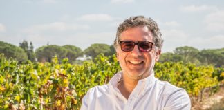 Península vai produzir menos vinho mas de muito boa qualidade