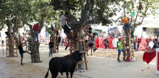 Moita engalanada para honrar Nossa Senhora da Boa Viagem