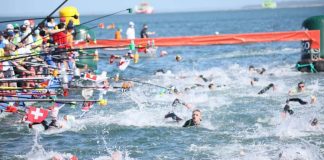 Cinco medalhados em Paris2024 na Taça do Mundo de Setúbal de águas abertas