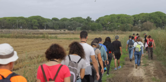 “Alentejo Walking Festival” promove natureza e cultura em 55 percursos