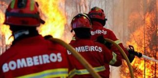 Dois mortos e três feridos em fogo em prédio na Costa da Caparica