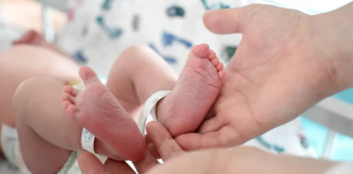 Governo estuda proposta para centro maternoinfantil na Península de Setúbal