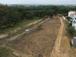 Seixal inaugura espaço agrícola municipal para 119 hortelãos na Quinta da Princesa