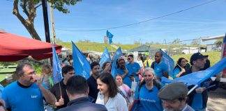 IL cresceu o suficiente para manter Joana Cordeiro na AR