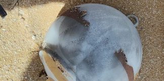 Marinha inativa engenho explosivo detetado em praia de Sesimbra