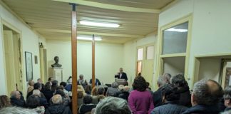 PSD de Setúbal mantém críticas ao apoio do partido à independente Dores Meira