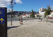 Alentejo 2030 com 5 milhões para projetos de Investigação e Desenvolvimento