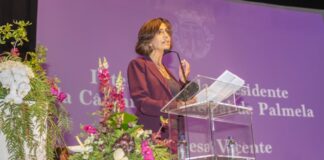 Ana Teresa Vicente eleita vice-presidente do Conselho Metropolitano