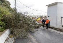 Alcácer do Sal ativa Plano Municipal de Emergência e Proteção Civil 621624961 1444755737005830 4258540160605033449 n