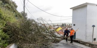 Alcácer do Sal ativa Plano Municipal de Emergência e Proteção Civil 621624961 1444755737005830 4258540160605033449 n