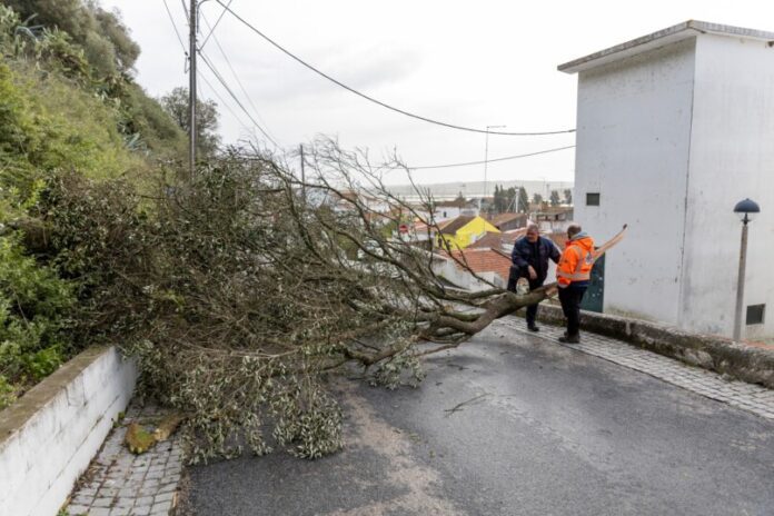 621624961 1444755737005830 4258540160605033449 n