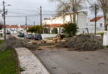 Câmara de Alcácer do Sal vai pedir ao Governo que decrete estado de calamidade 622809526 1444755123672558 7667614868203738700 n