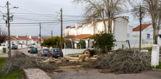 Câmara de Alcácer do Sal vai pedir ao Governo que decrete estado de calamidade 622809526 1444755123672558 7667614868203738700 n