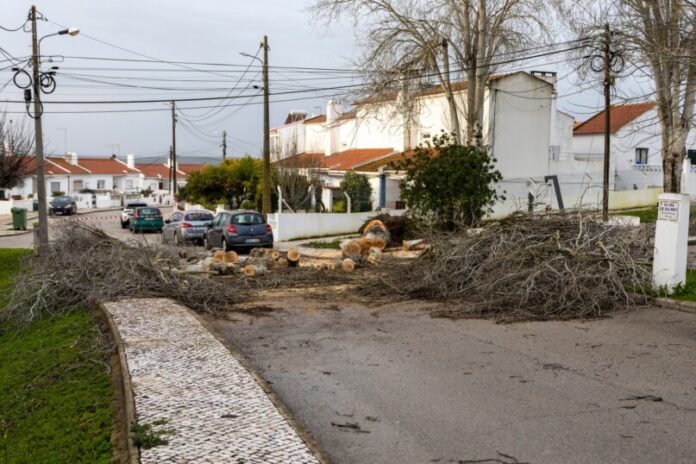 622809526 1444755123672558 7667614868203738700 n