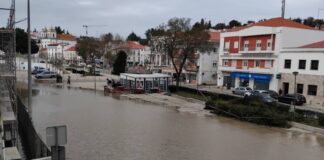 Presidente da República diz que situação de cheias em Alcácer do Sal é “a mais grave” 623135908 122112746883184157 7685585861036763249 n