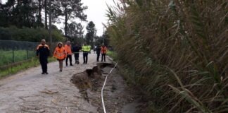 Setúbal registou 128 ocorrências devido à tempestade Kristin Tempestade Kristin Visita Executivo 2026 (15)