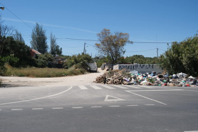 Penajoia 448317530 854006743418737 6041732489634105315 n