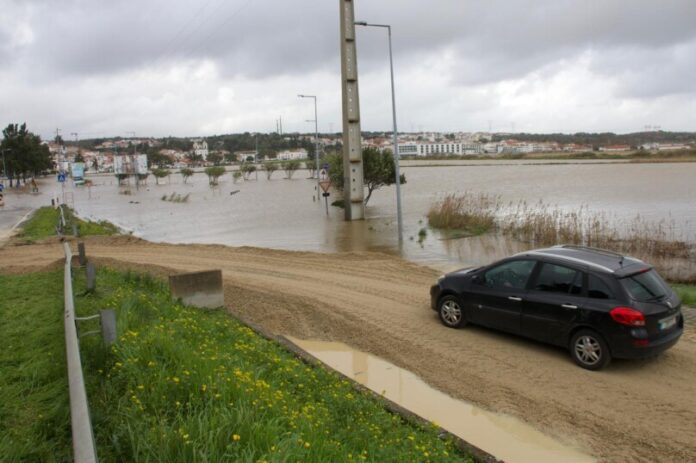 624548598 1446796930135044 5088489055610364418 n