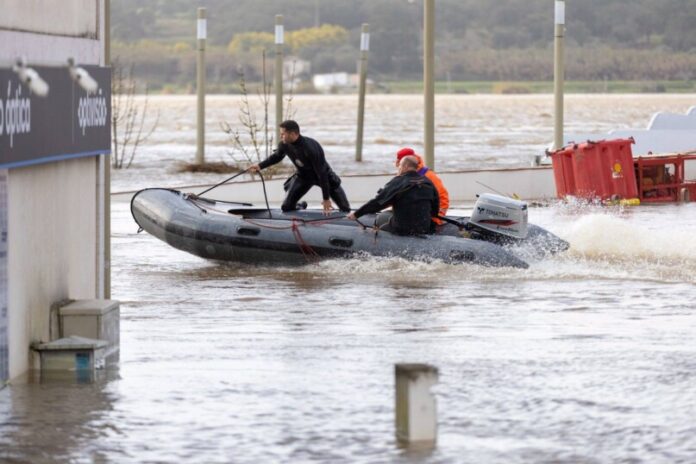 627198921 1451490082999062 7627277229381913862 n