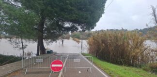 Nível de cheia subiu para 1,2 metros na baixa de Alcácer do Sal 627452613 1450334659781271 5287589497126490601 n