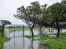 Parque Urbano da Costa de Caparica encerrado por razões de segurança 627721240 1300608672091873 1319156149738288405 n