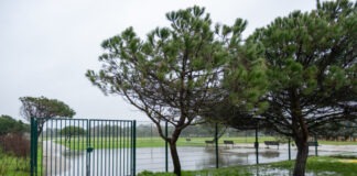 Parque Urbano da Costa de Caparica encerrado por razões de segurança 627721240 1300608672091873 1319156149738288405 n