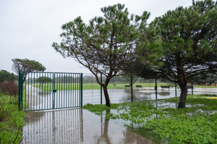 627721240 1300608672091873 1319156149738288405 n