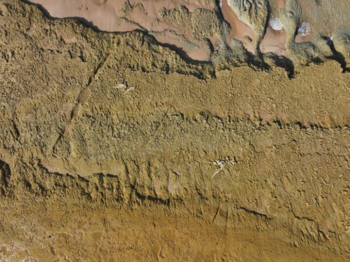 636812819 1404511961720223 6089435696218289614 n