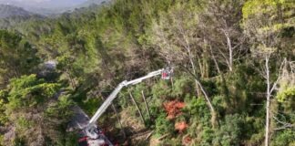 Setúbal contabiliza 50 milhões de euros em prejuízos devido ao mau tempo Default