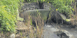 Descargas de “esgoto em bruto” na Moita podem dar multa até cinco milhões Descargas