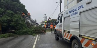 Península de Setúbal com mais de 10 milhões de prejuízos declarados na agricultura Mau tempo