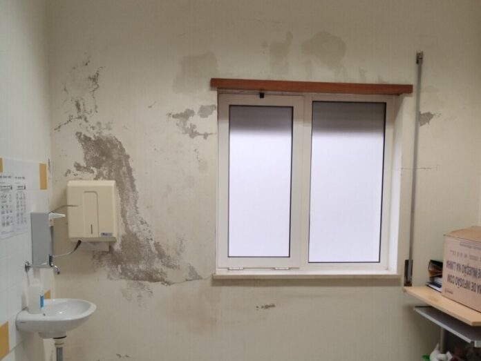 1771943661346 1 2500