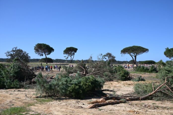 650729782 122169653372906117 9070951658620771833 n