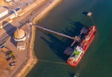 Porto de Setúbal prepara concessão do Terminal Multiusos da Mitrena Porto Setubal Mitrena