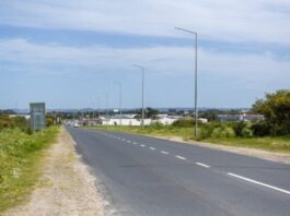 Adjudicada obra de 2,4 milhões para requalificar estrada da Floresta em Sines Estrada da floresta 1 980