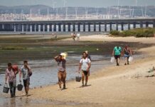 “Não há depuradora que acabe com astoxinas e metais pesados nas ameijoas” Mariscadores