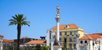 Setúbal integra projeto internacional para a juventude 16 Torvet 1 1024x683