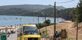 Carris já transportou cerca de 60 mil passageiros para praias da Arrábida Arrabida Sem Carros 04 06 2026
