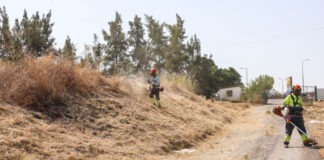 Câmara de Setúbal promove limpeza de terrenos para prevenir incêndios Desmatações na freguesia de Sâo Sebastião (2)