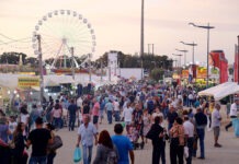 Feira de Agosto volta a animar concelho de Grândola FEIRA AGOSTO GRANDOLA