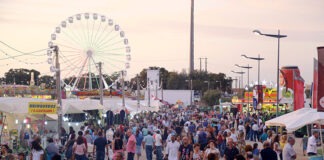 Feira de Agosto volta a animar concelho de Grândola FEIRA AGOSTO GRANDOLA