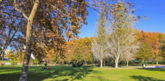 Jardins de Setúbal recebem concertos gratuitos ao pôr do sol em agosto Jardim Vanicelos 2021 8 2048x1365