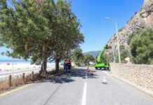 Remoção de rochas junto ao túnel da Figueirinha arranca na quarta-feira Limpeza de taludes das redes dinamicas na encosta da Arrabida na Figueirinha 5 2048x1365