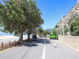 Remoção de rochas junto ao túnel da Figueirinha arranca na quarta-feira Limpeza de taludes das redes dinamicas na encosta da Arrabida na Figueirinha 5 2048x1365